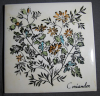 Coriander Trivet by Delano Studios